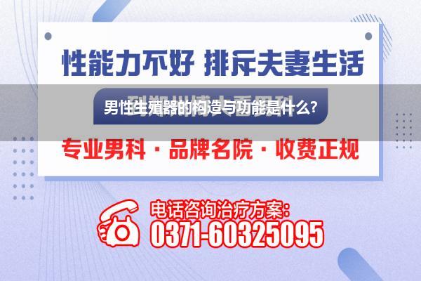 男性生殖长什么神色(男性的丁丁是什么神色的普通怎样健康篡改)